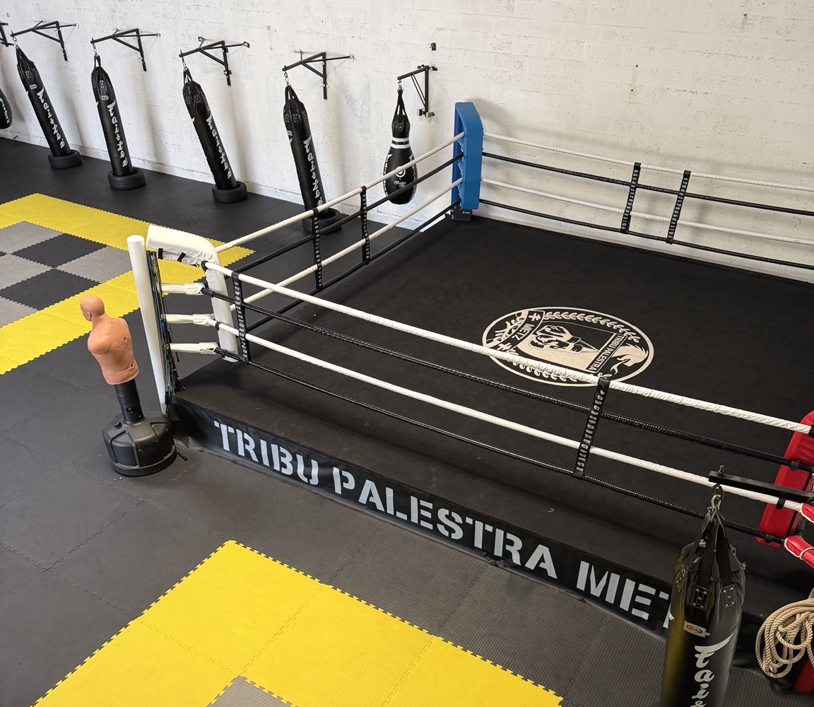 Espaces d’entraînement de La Tribu Palestra Metz — vue 3